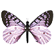 Anny_Alfonso